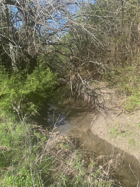 10843 East Line Road Trenton, TX 75490 - Photo 8 of 19 a view of a yard