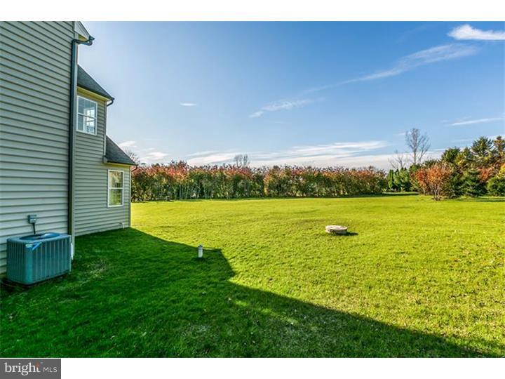 381 Park Road Downingtown, PA 19335 - Photo 23 of 25 Back Yard