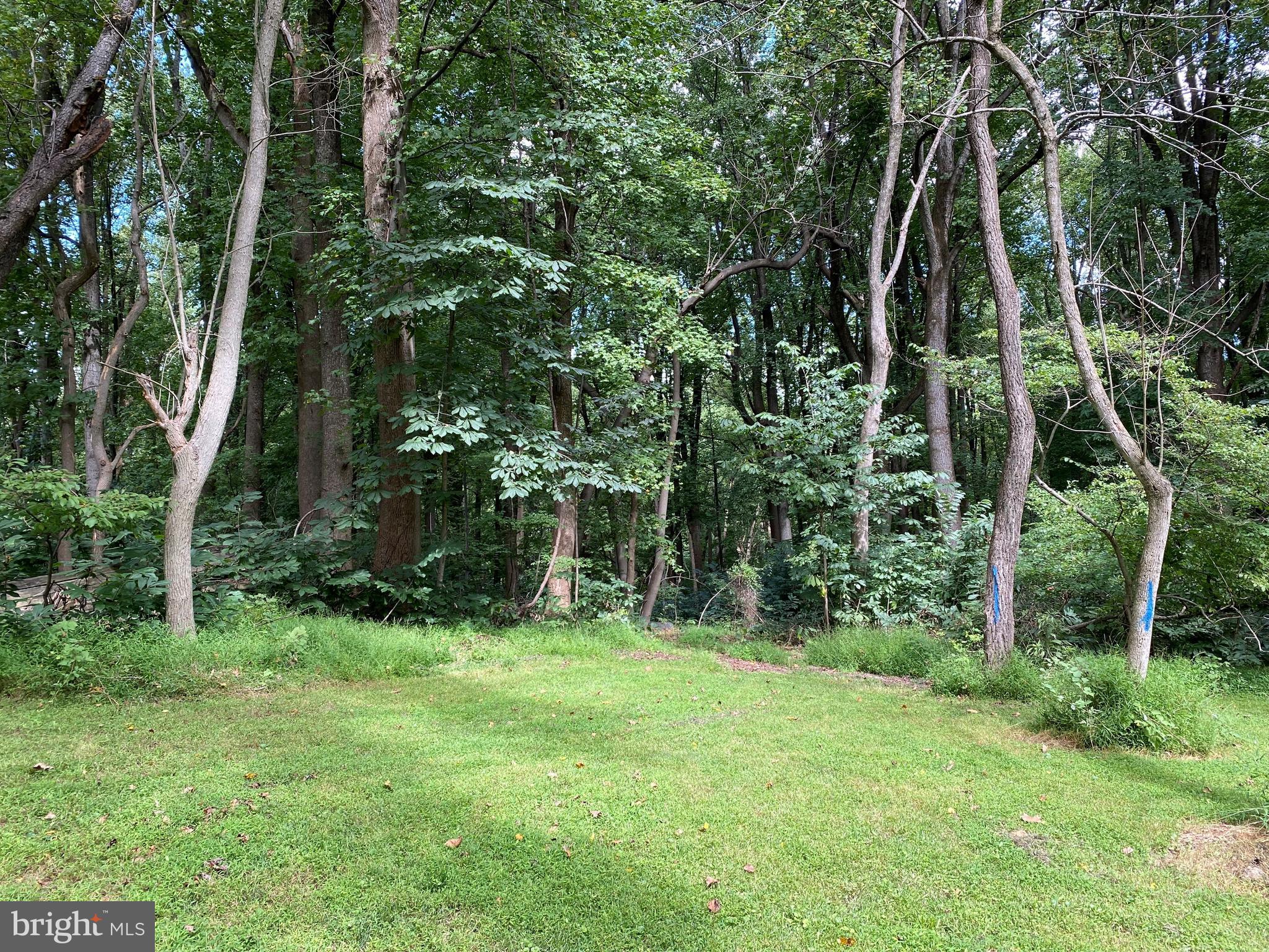 3923 Miller Road Kingsville, MD 21087 - Photo 5 of 10 1.83 ac private lot backs to Gunpowder State Park