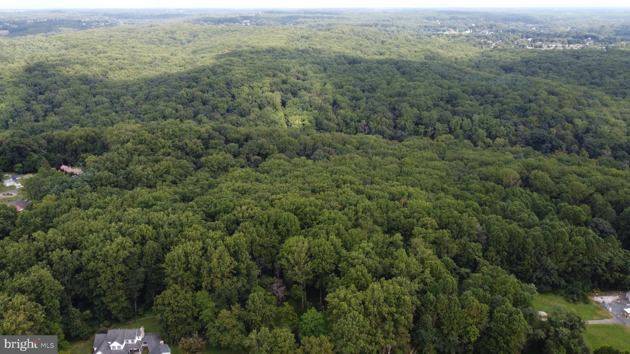 3923 Miller Road Kingsville, MD 21087 - Photo 6 of 10 1.83 ac private lot backs to Gunpowder State Park