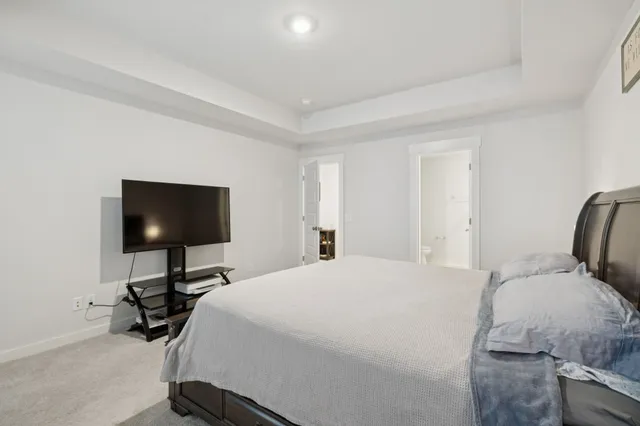 a bedroom with a bed tv and a chandelier