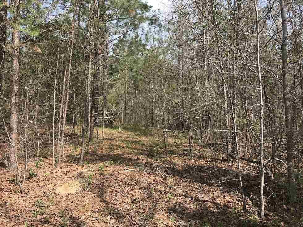 360 Louise Lane Brandon, MS 39042 - Photo 1 of 7 Photo 1