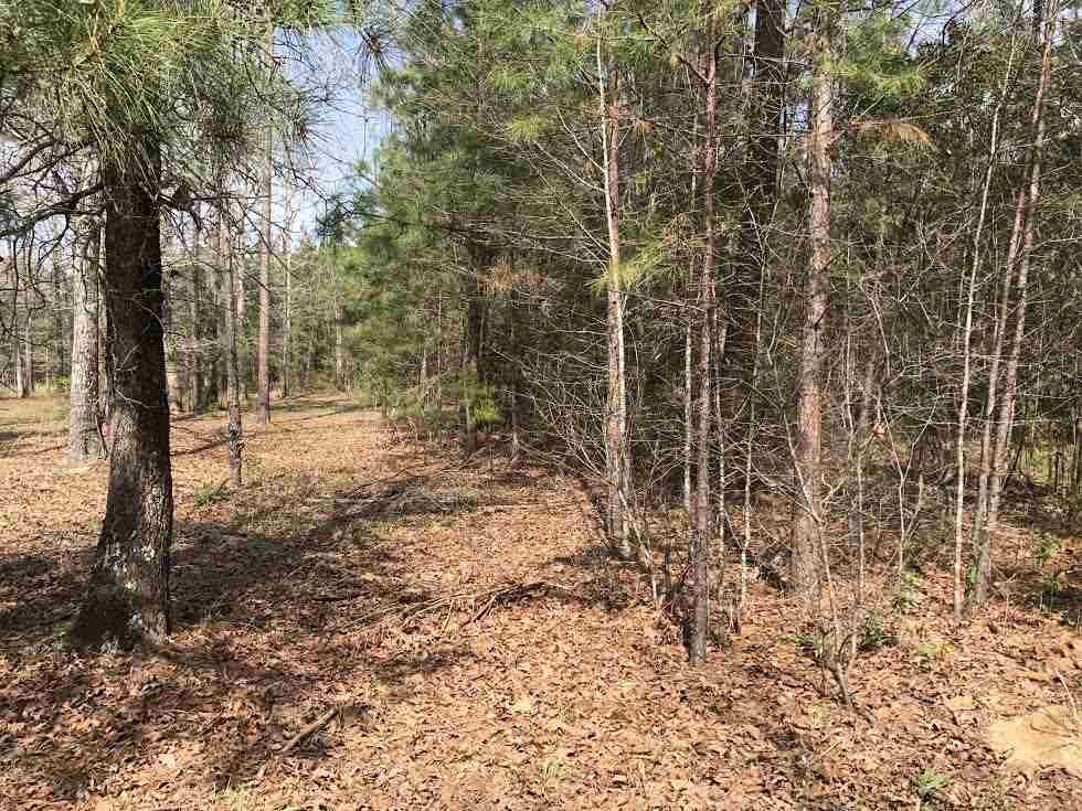 360 Louise Lane Brandon, MS 39042 - Photo 2 of 7 Photo 2