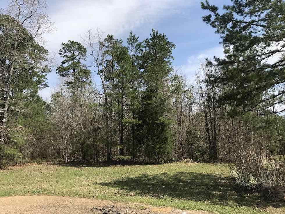 360 Louise Lane Brandon, MS 39042 - Photo 3 of 7 Photo 3