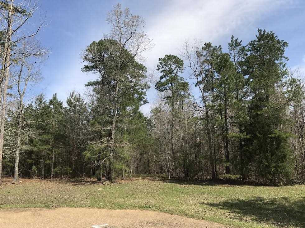 360 Louise Lane Brandon, MS 39042 - Photo 4 of 7 Photo 4