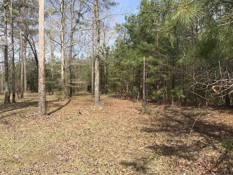 360 Louise Lane Brandon, MS 39042 - Photo 5 of 7 Photo 5