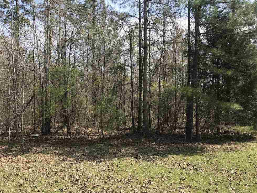 360 Louise Lane Brandon, MS 39042 - Photo 6 of 7 Photo 6