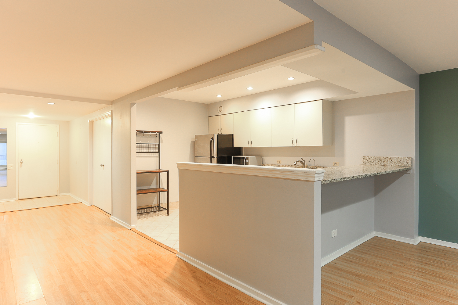 40 East 9th Street, Unit 408 Chicago, IL 60605 - Photo 4 of 37