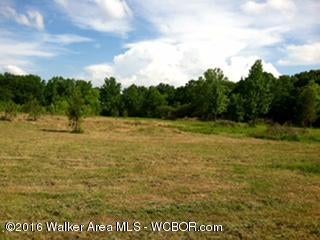 Crestview Road Cordova, AL 35550 - Photo 11 of 15 Gallery Image 11