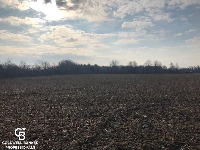 V/l Ravenswood Parcel, Unit 2 Goodells, MI 48027 - Photo 3 of 5