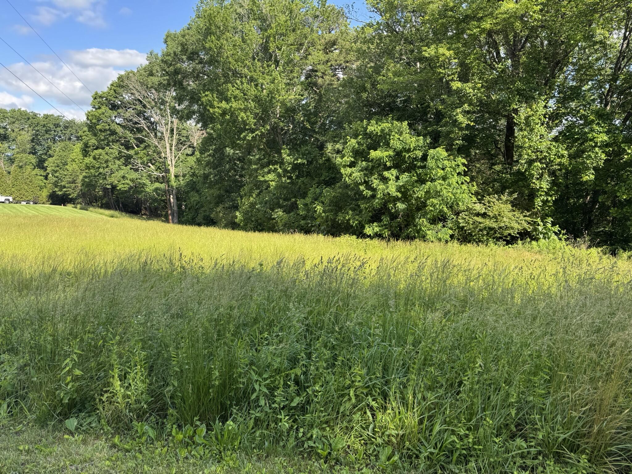 0 Green Level Road Rocky Mount, VA 24151 - Photo 1 of 5 5.22 Acres Green Level Road