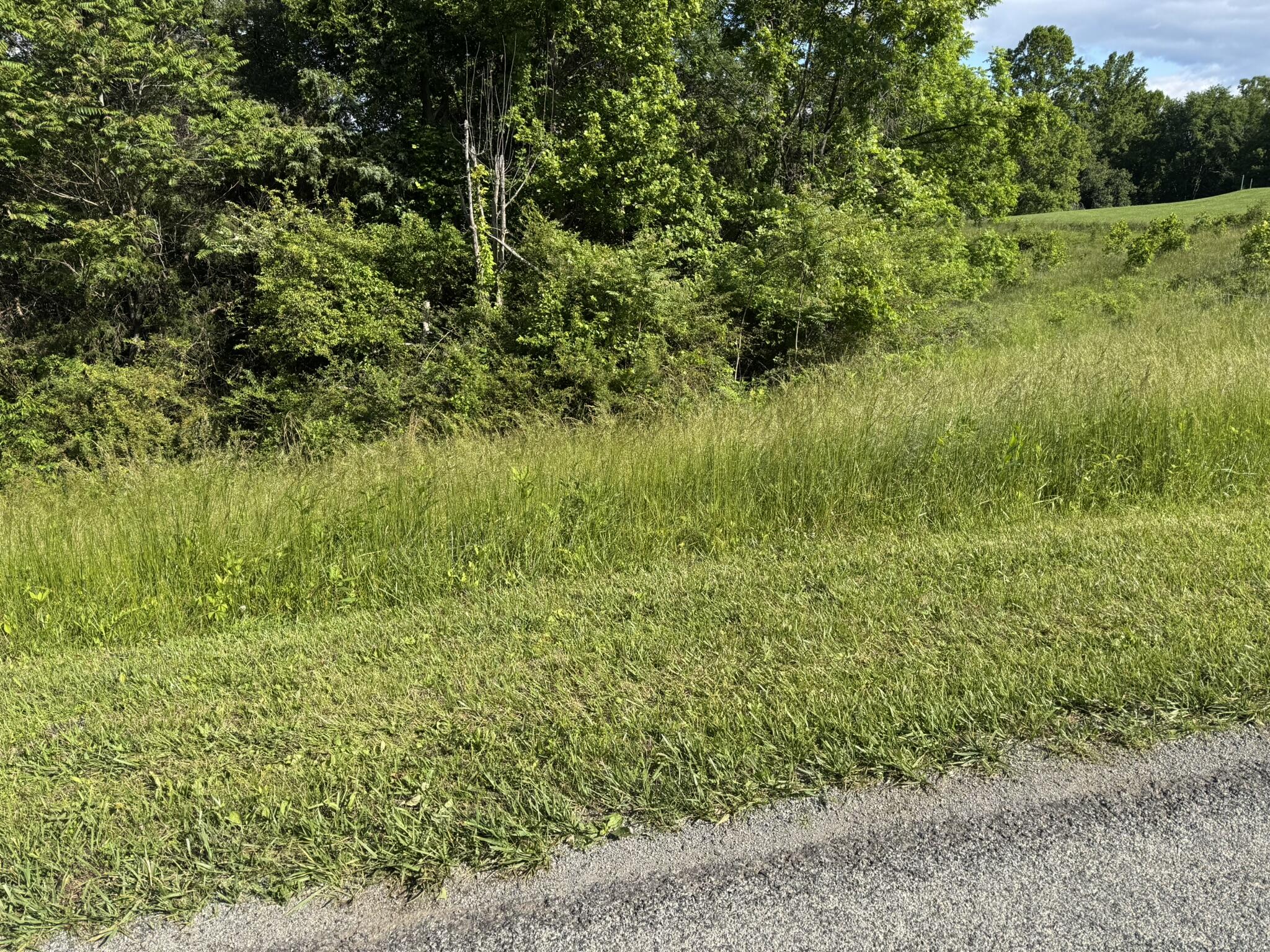 0 Green Level Road Rocky Mount, VA 24151 - Photo 2 of 5 5.22 Acres Green Level Road