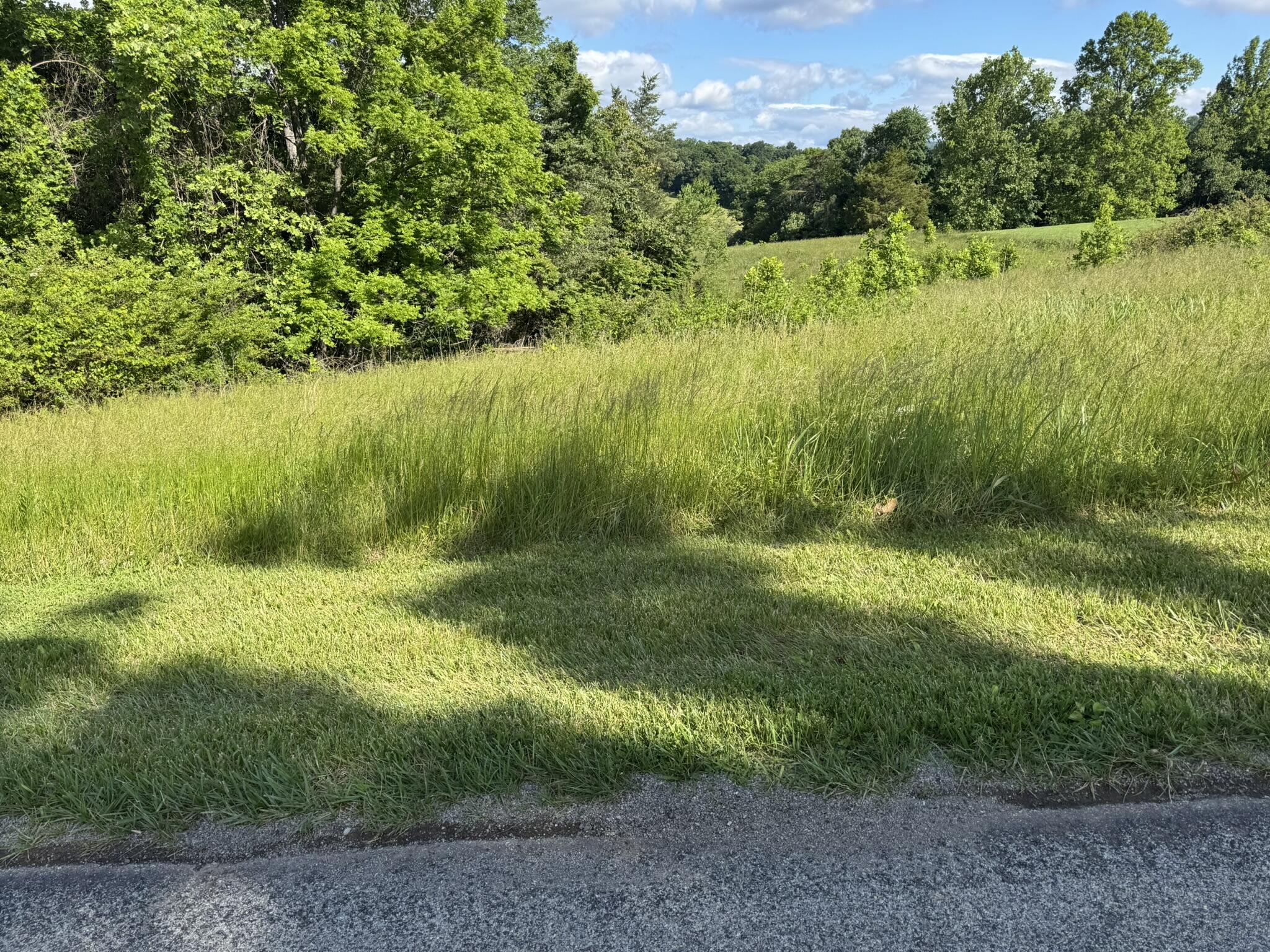 0 Green Level Road Rocky Mount, VA 24151 - Photo 3 of 5 5.22 Acres Green Level Road