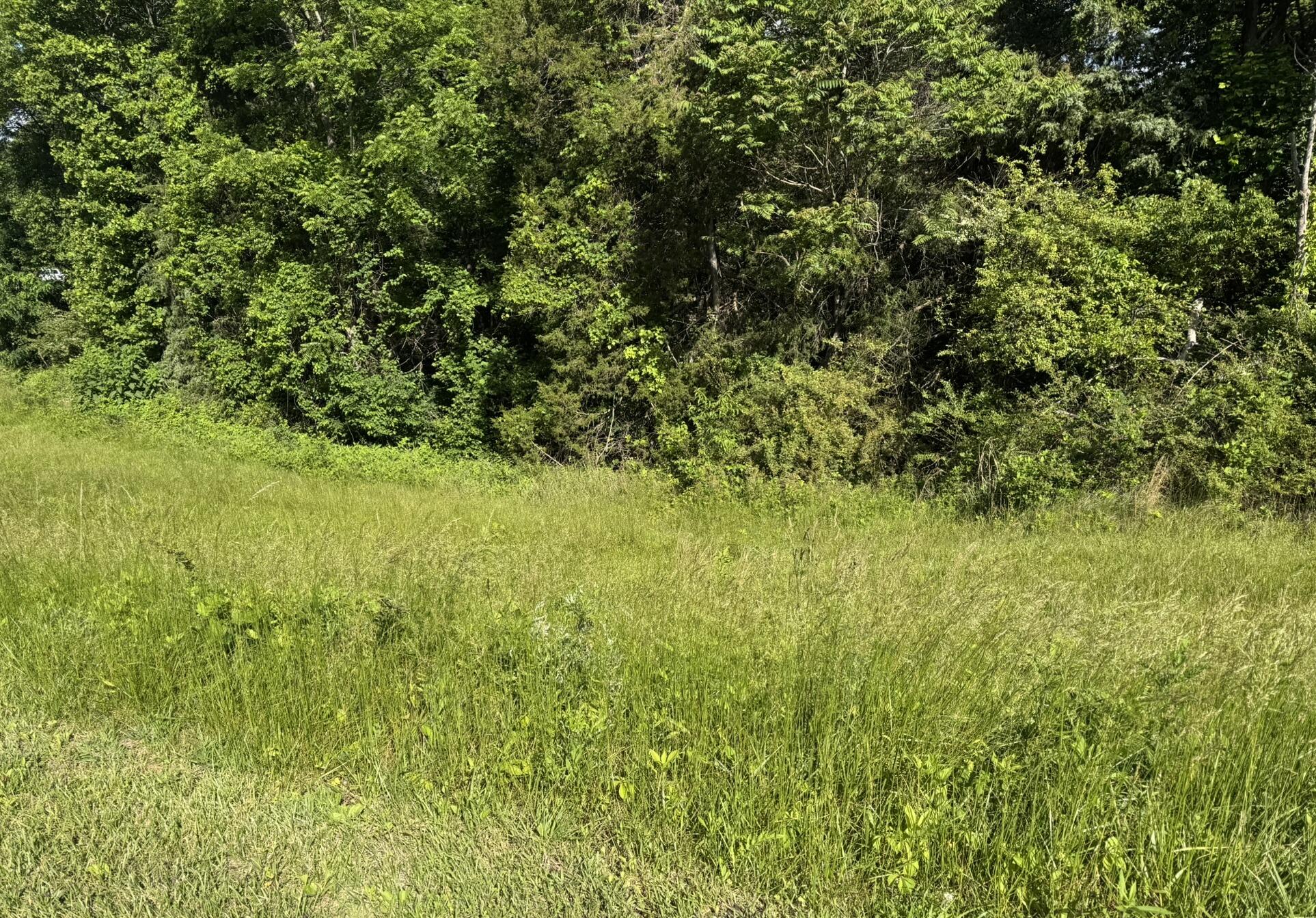 0 Green Level Road Rocky Mount, VA 24151 - Photo 4 of 5 5.22 Acres Green Level Road