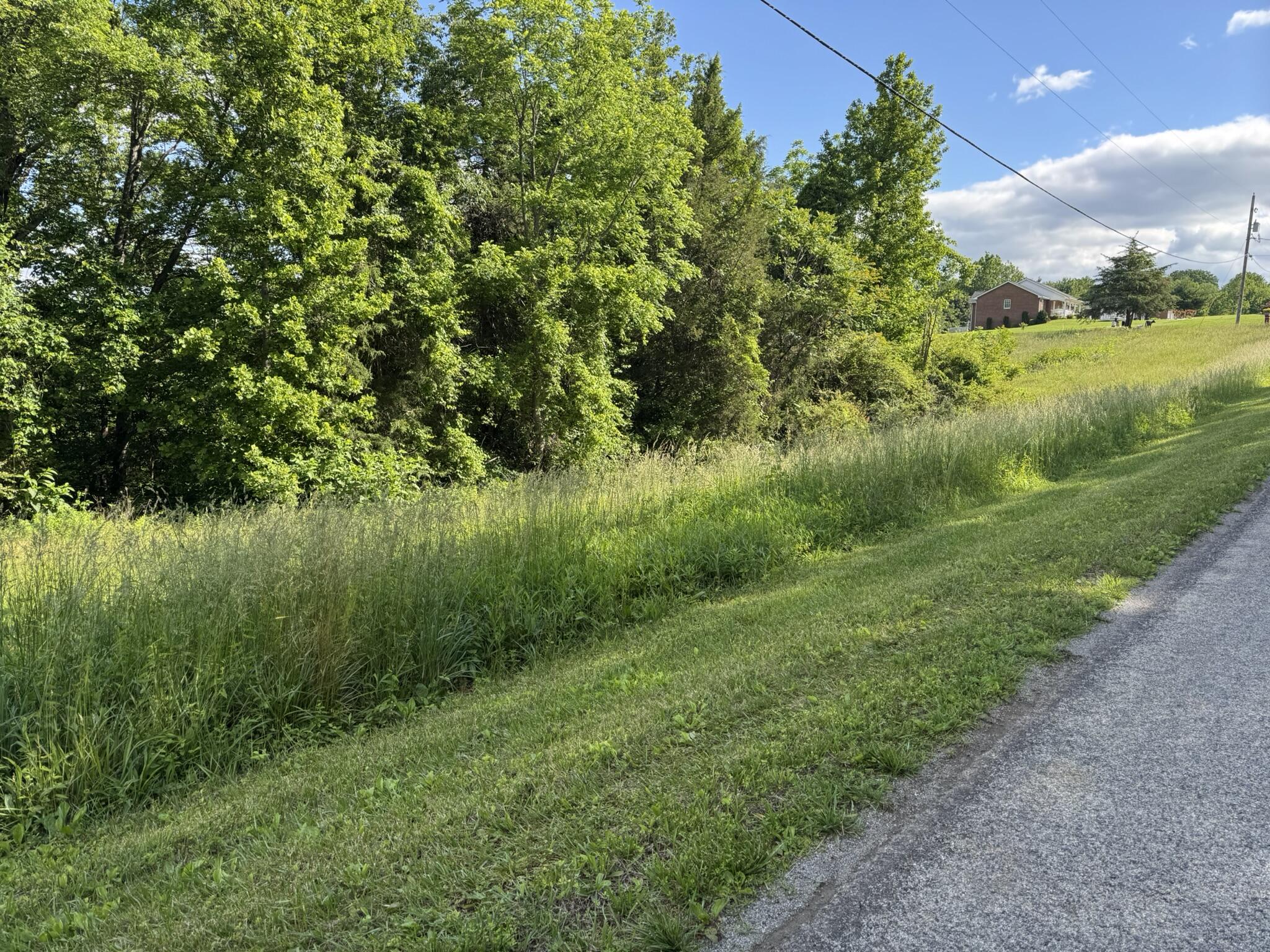 0 Green Level Road Rocky Mount, VA 24151 - Photo 5 of 5 5.22 Acres Green Level Road