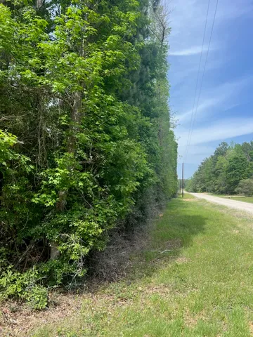 $40,000 | 0 Conway Road, Livingston, TX 77351