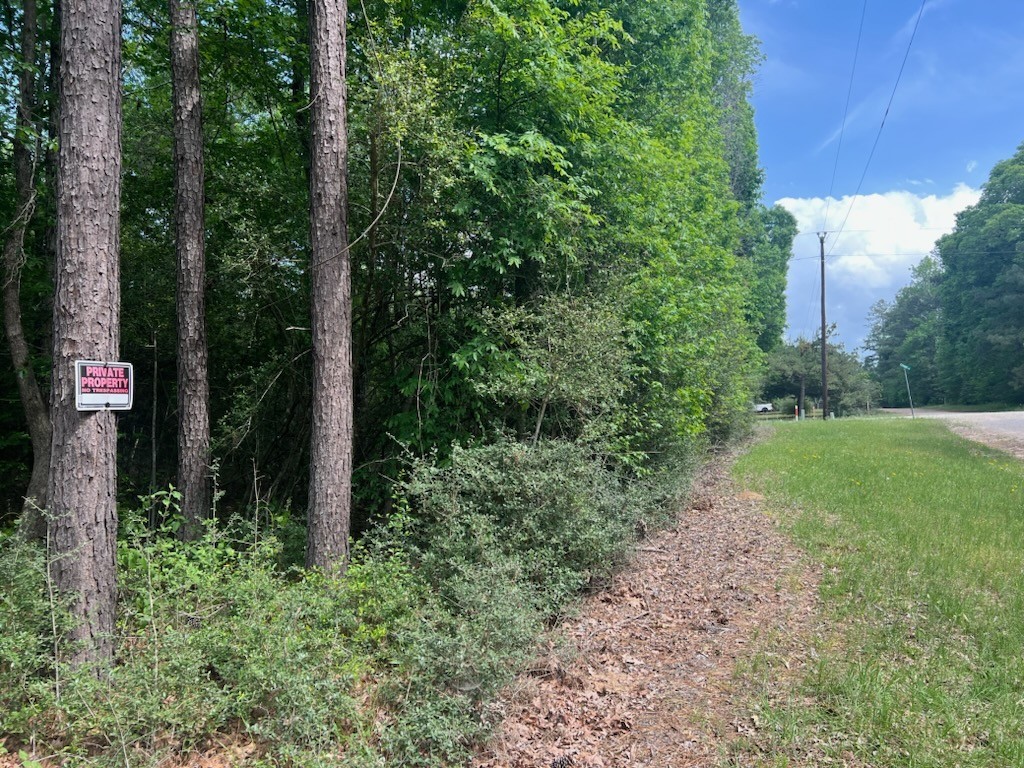 0 Conway Road Livingston, TX 77351 - Photo 4 of 6