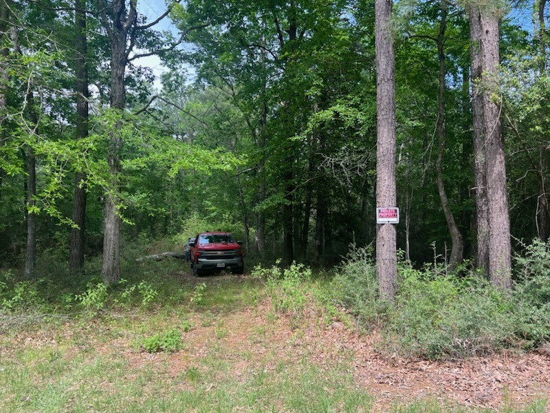 0 Conway Road Livingston, TX 77351 - Photo 5 of 6