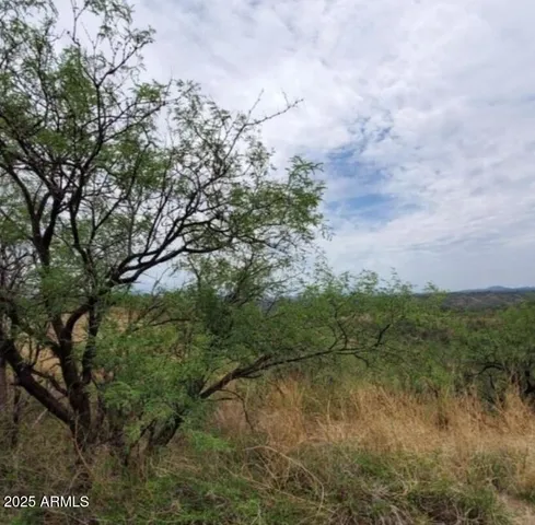 a view of a lake with a yard