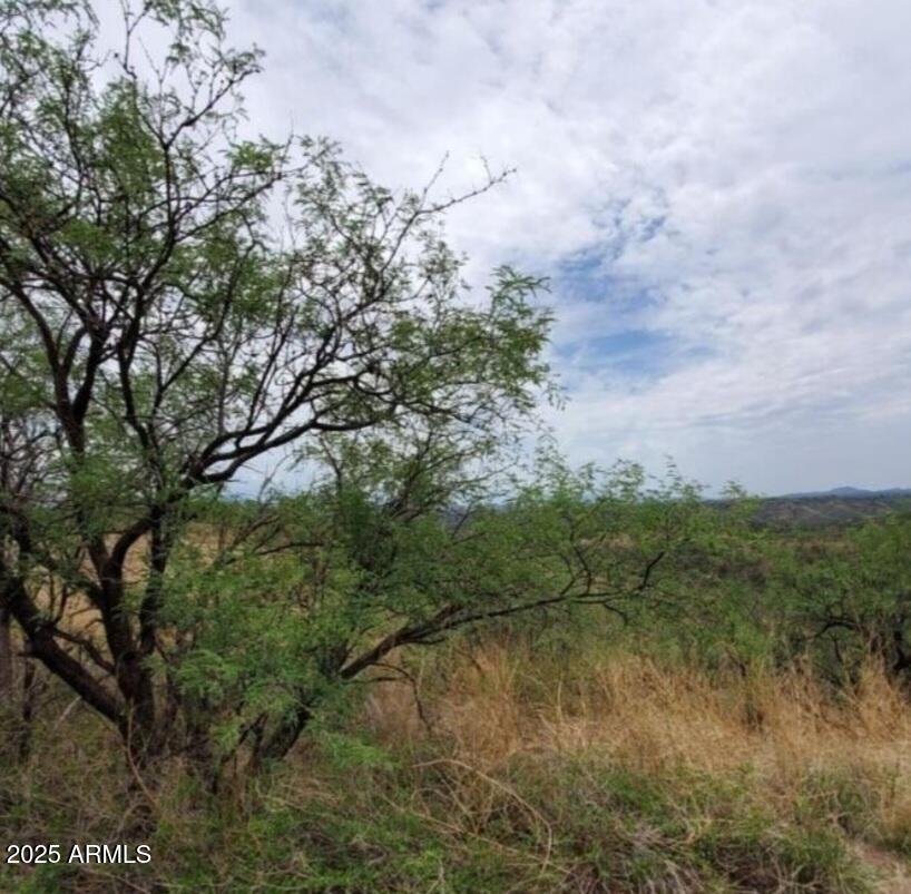 a view of a lake with a yard