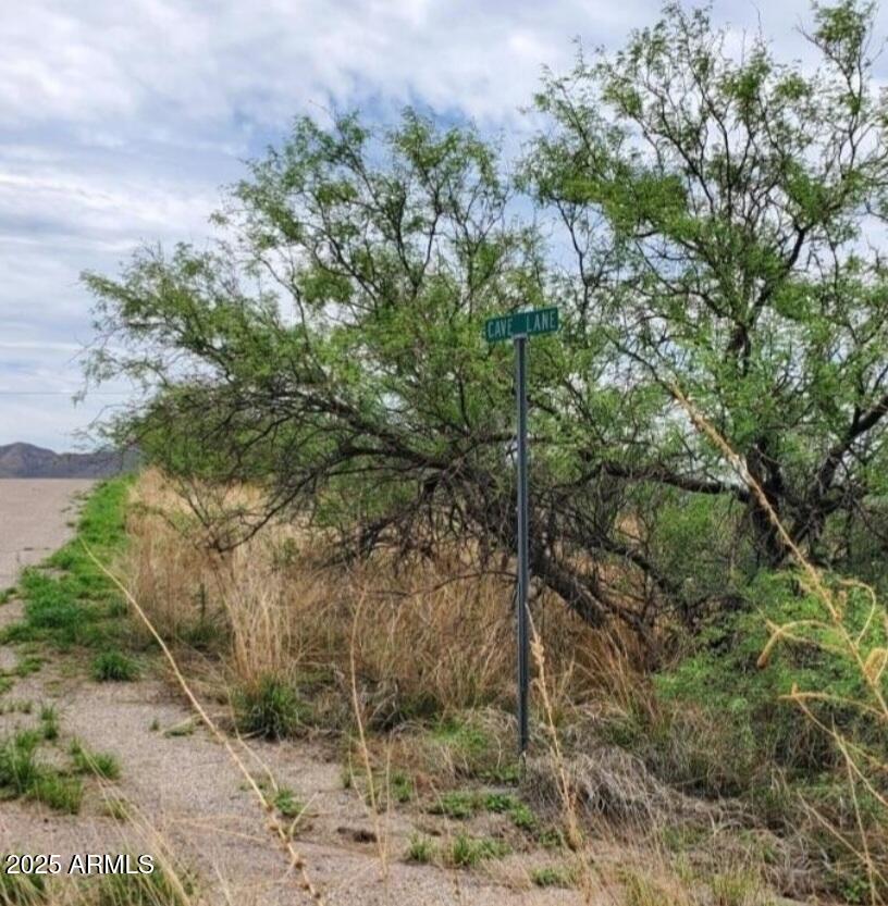 580 Cave Lane, Unit 49 Rio Rico, AZ 85648 - Photo 2 of 6 a view of a yard with plants and large trees