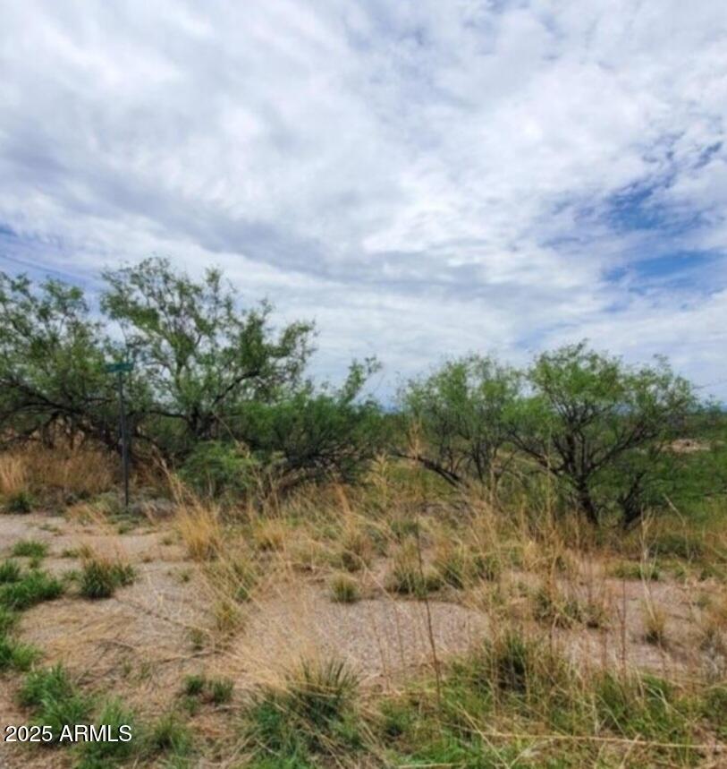 580 Cave Lane, Unit 49 Rio Rico, AZ 85648 - Photo 3 of 6 a view of a dry yard with lots of green space