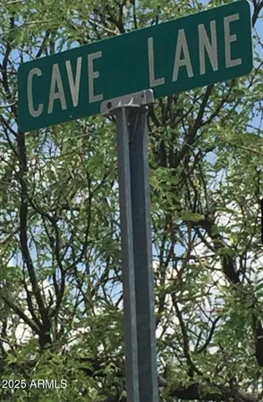 a street sign that is on a tree
