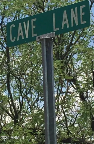 a street sign that is on a tree