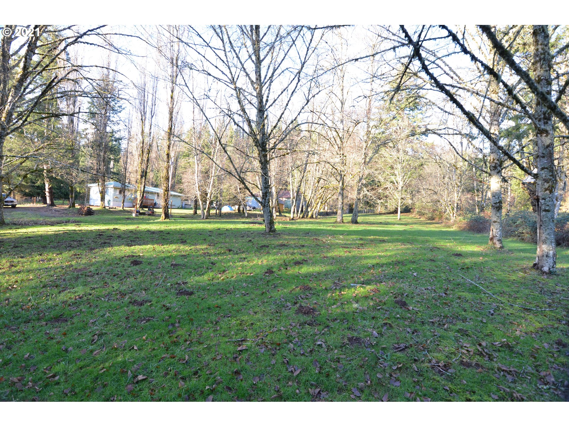 24332 Northeast Berry Road Battle Ground, WA 98604 - Photo 11 of 23