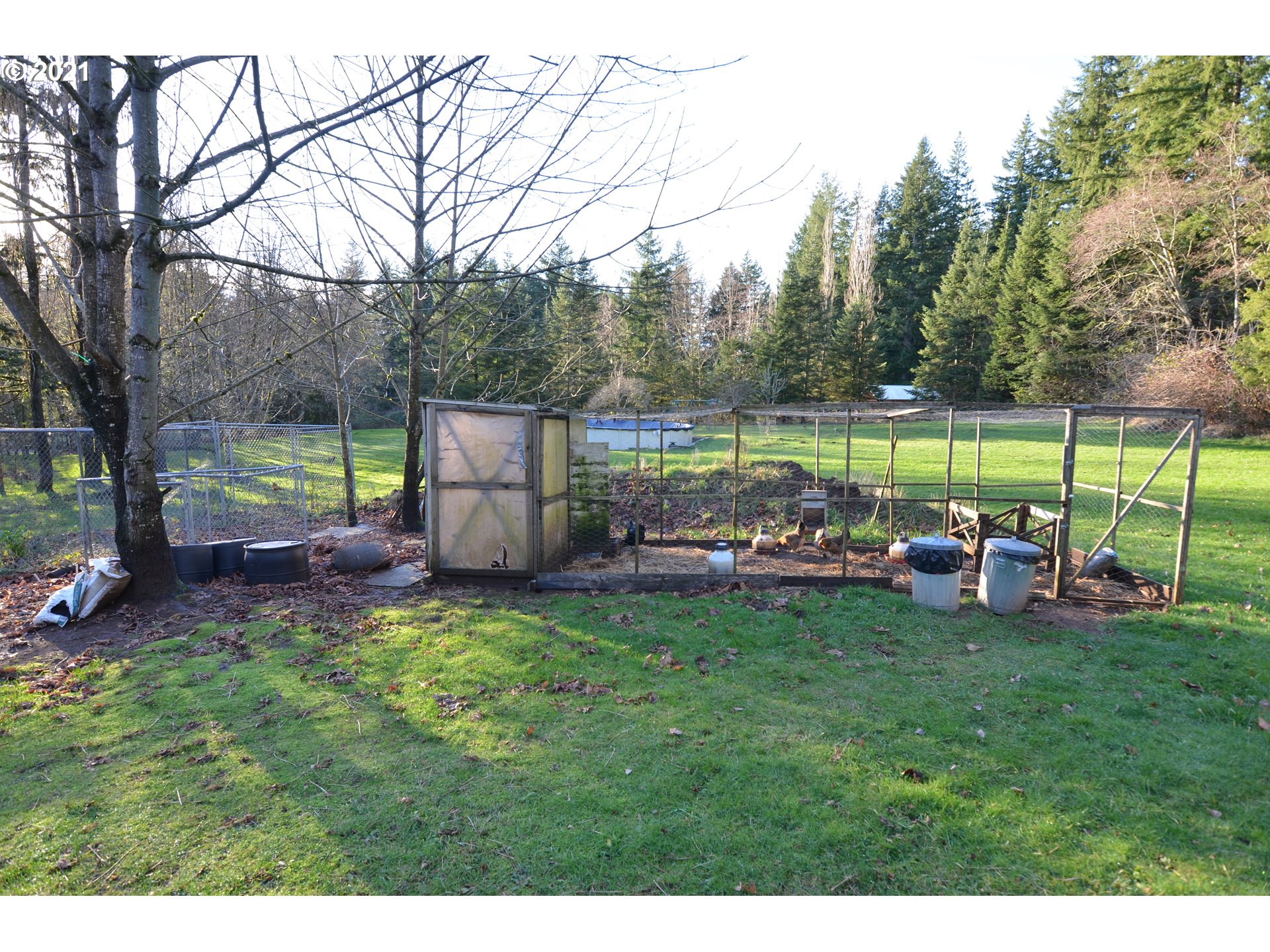 24332 Northeast Berry Road Battle Ground, WA 98604 - Photo 6 of 23