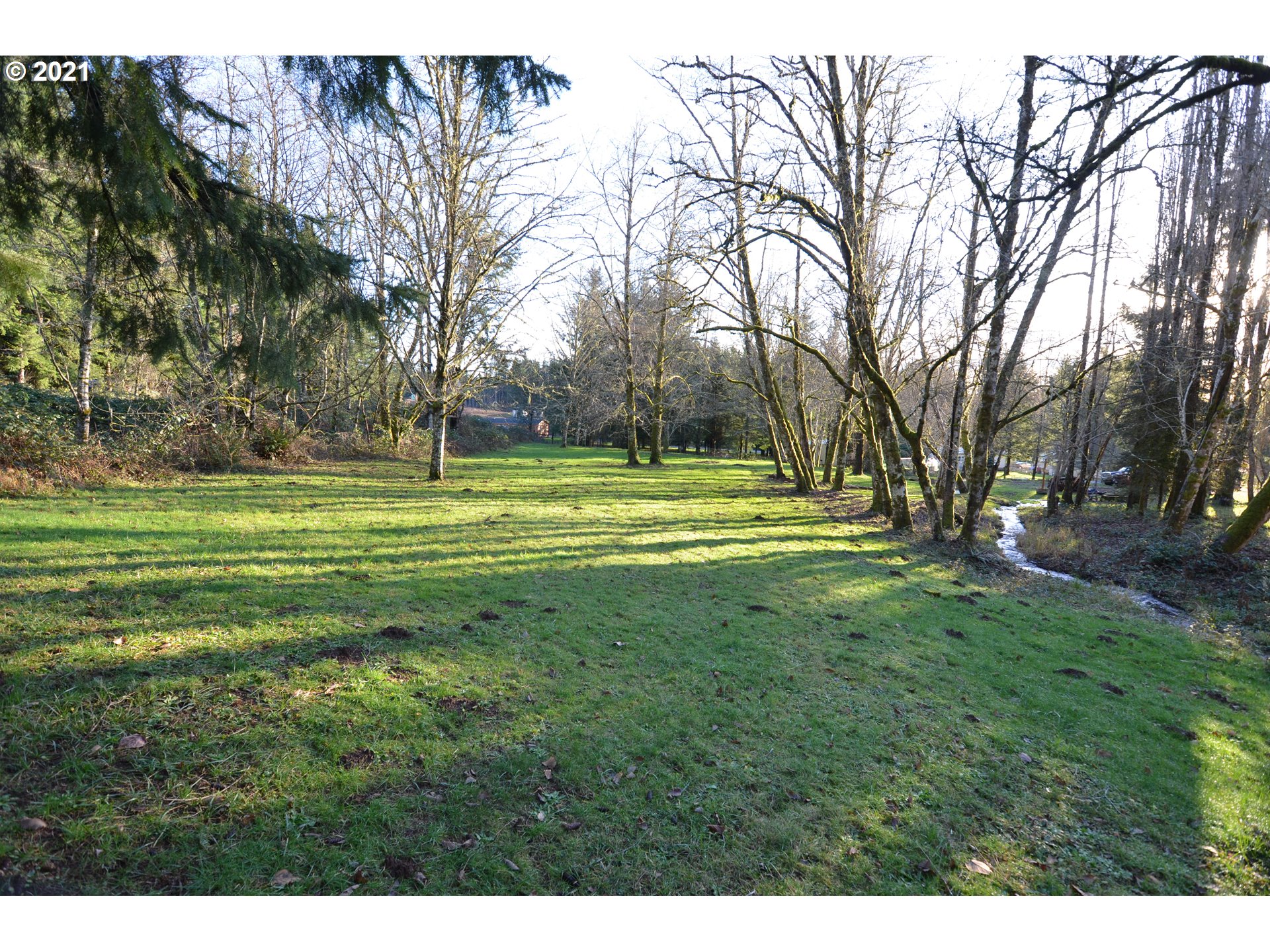24332 Northeast Berry Road Battle Ground, WA 98604 - Photo 10 of 23