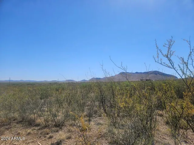 a view of a lush green hillside and a houses