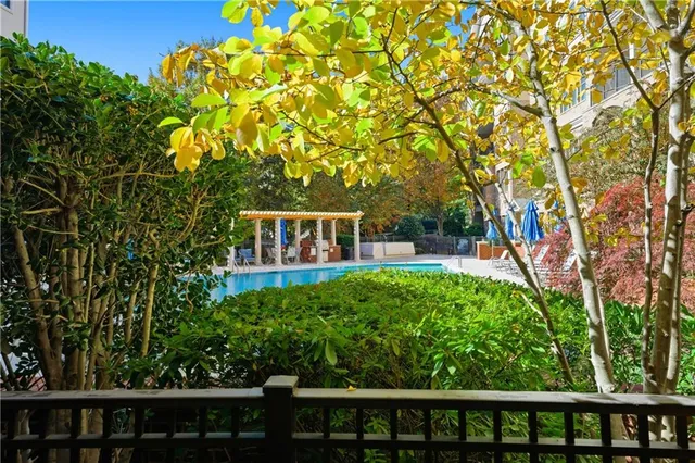 a view of a yard with large trees