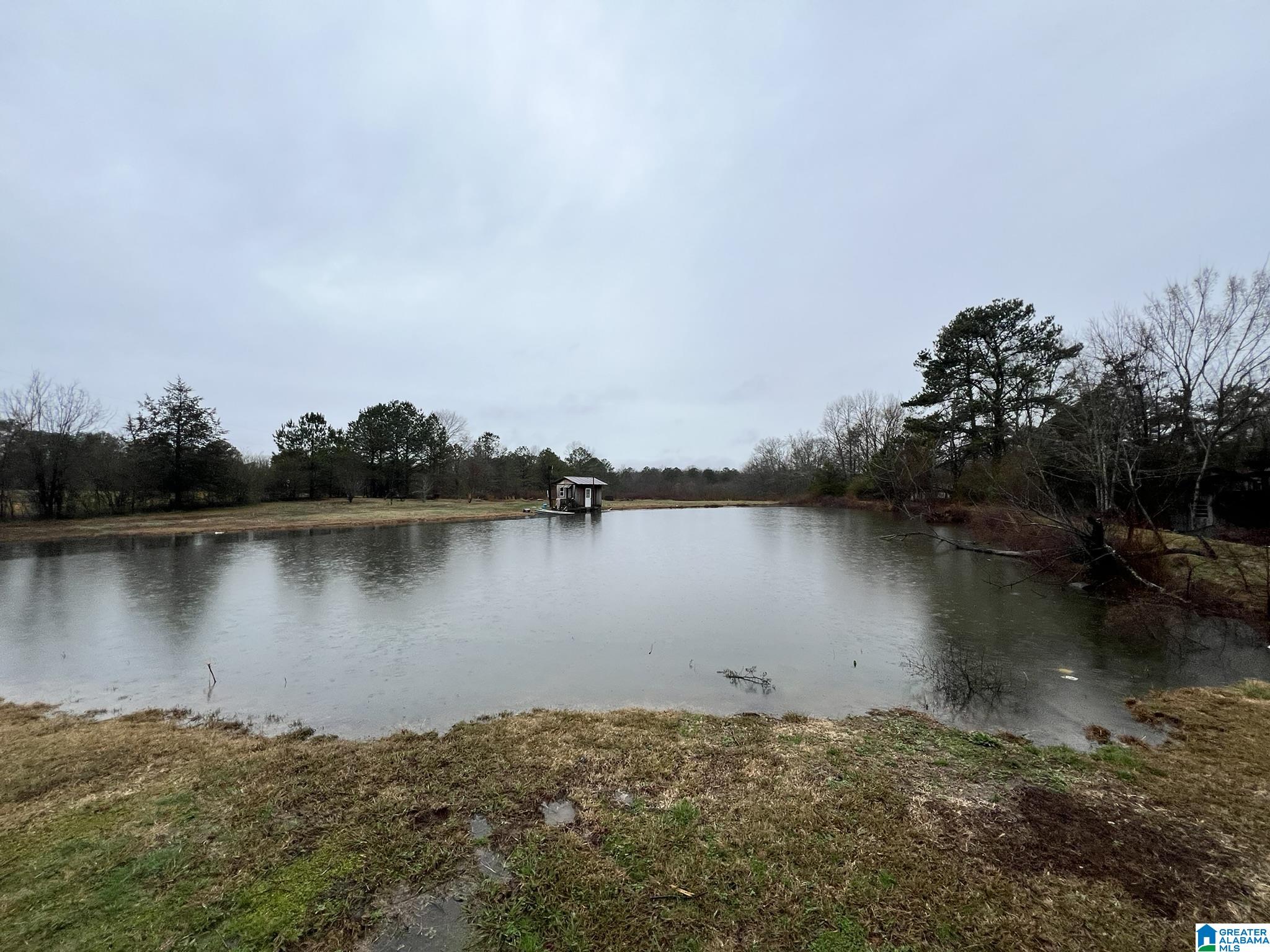 4871 Cedar Springs Road Jacksonville, AL 36265 - Photo 18 of 23