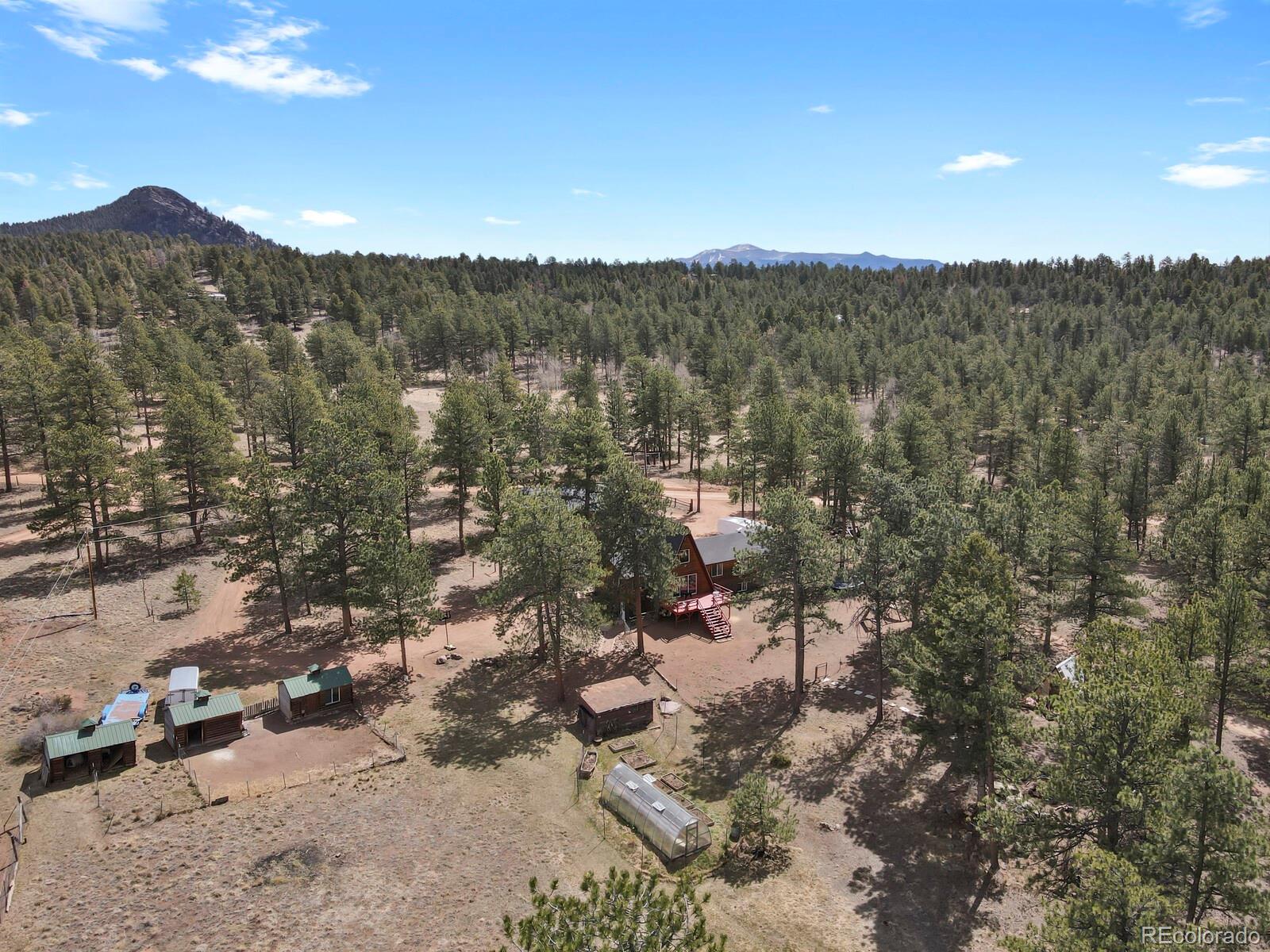881 Trail Creek Road Lake George, CO 80827 - Photo 4 of 46