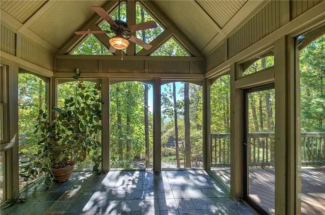 a view of a tree in a yard