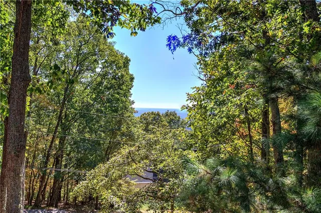 a bathroom with a granite countertop sink a mirror and a shower