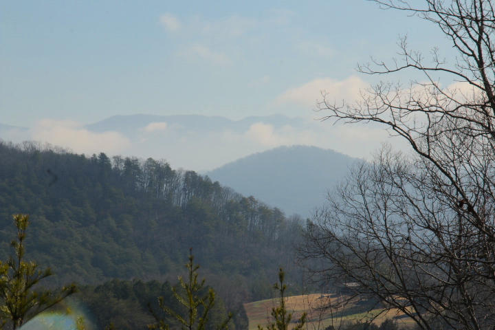 1 Reagan Valley Road Tellico Plains, TN 37385 - Photo 1 of 40 IMG_5977