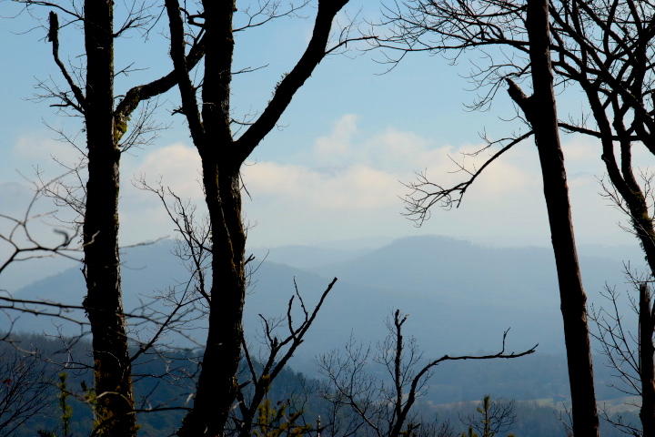 1 Reagan Valley Road Tellico Plains, TN 37385 - Photo 2 of 40 IMG_5978