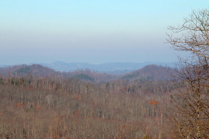 1 Reagan Valley Road Tellico Plains, TN 37385 - Photo 11 of 40 IMG_6018