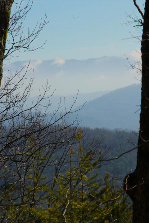 1 Reagan Valley Road Tellico Plains, TN 37385 - Photo 13 of 40 IMG_6006