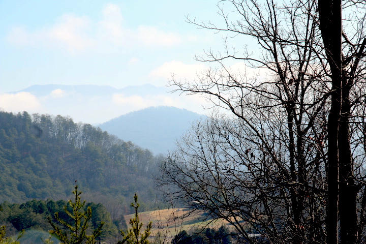 1 Reagan Valley Road Tellico Plains, TN 37385 - Photo 14 of 40 IMG_5973