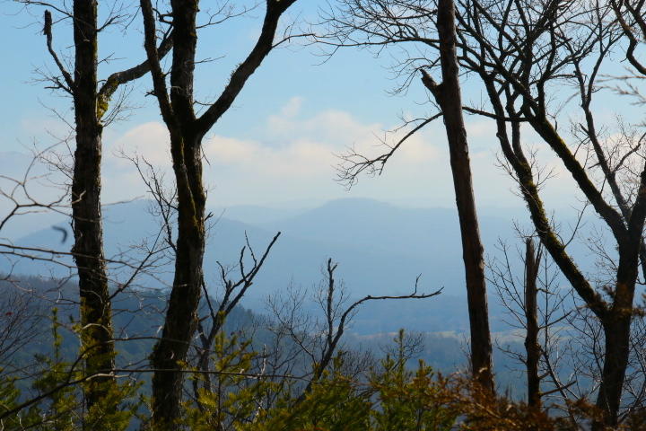1 Reagan Valley Road Tellico Plains, TN 37385 - Photo 15 of 40 IMG_5980
