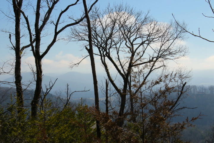 1 Reagan Valley Road Tellico Plains, TN 37385 - Photo 16 of 40 IMG_5981