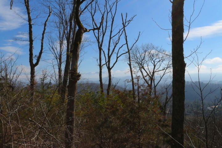 1 Reagan Valley Road Tellico Plains, TN 37385 - Photo 17 of 40 IMG_5986
