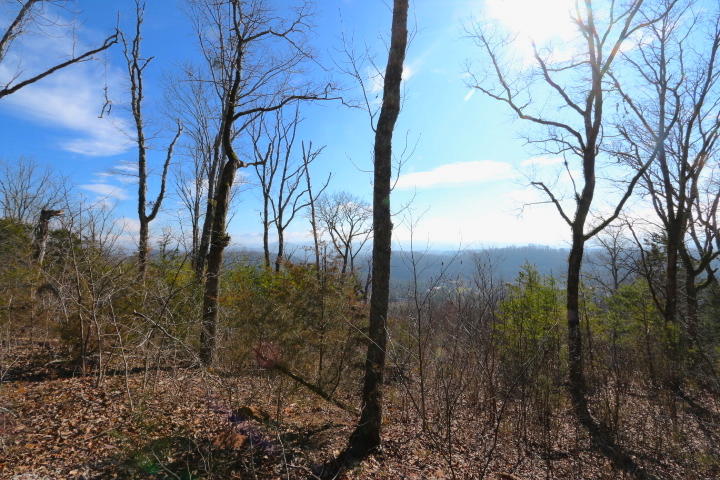 1 Reagan Valley Road Tellico Plains, TN 37385 - Photo 18 of 40 IMG_5987