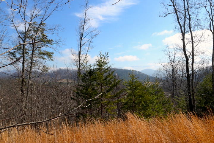 1 Reagan Valley Road Tellico Plains, TN 37385 - Photo 19 of 40 IMG_5972