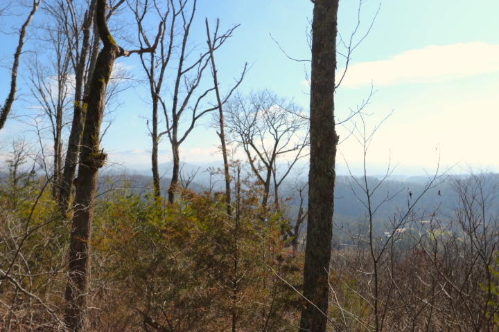 1 Reagan Valley Road Tellico Plains, TN 37385 - Photo 20 of 40 IMG_5989