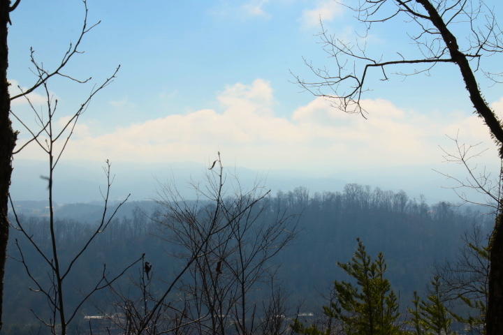 1 Reagan Valley Road Tellico Plains, TN 37385 - Photo 3 of 40 IMG_5979
