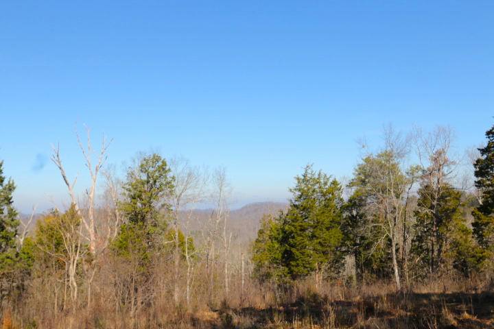 1 Reagan Valley Road Tellico Plains, TN 37385 - Photo 21 of 40 IMG_5994